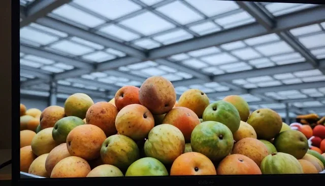 基地合作中的品质把控与性能分析