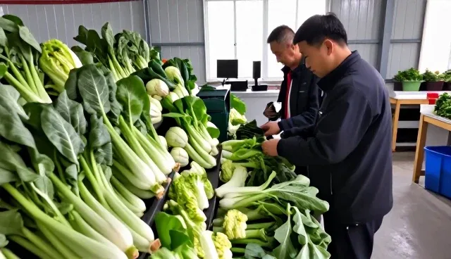 基地合作等帮助解决优质农产品问题